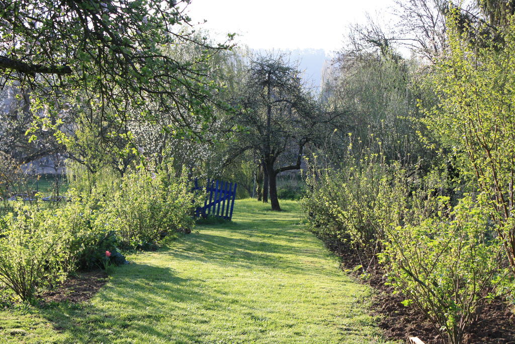 Bed and Breakfast La Barbotine Septmonts Екстер'єр фото